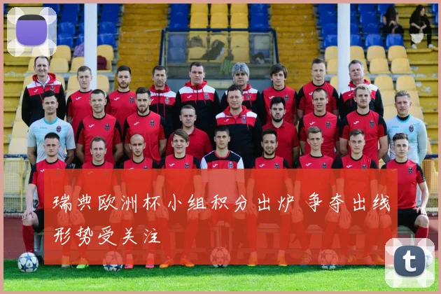 瑞典欧洲杯小组积分出炉 争夺出线形势受关注